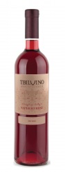 TBILVINO Saperavi Rosé trocken 2021 